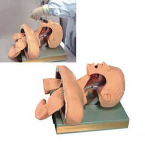 Electronic Airway Intubation Model(with Alarm Device)